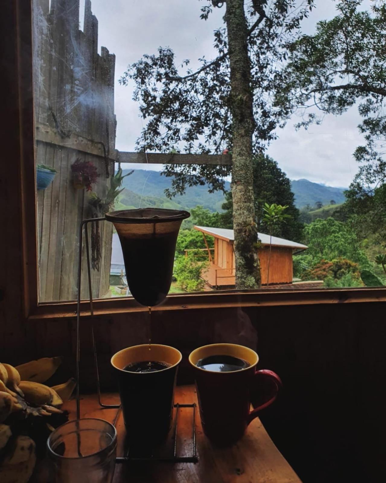 Chale Madeira Rustica Villa Visconde De Maua Dış mekan fotoğraf